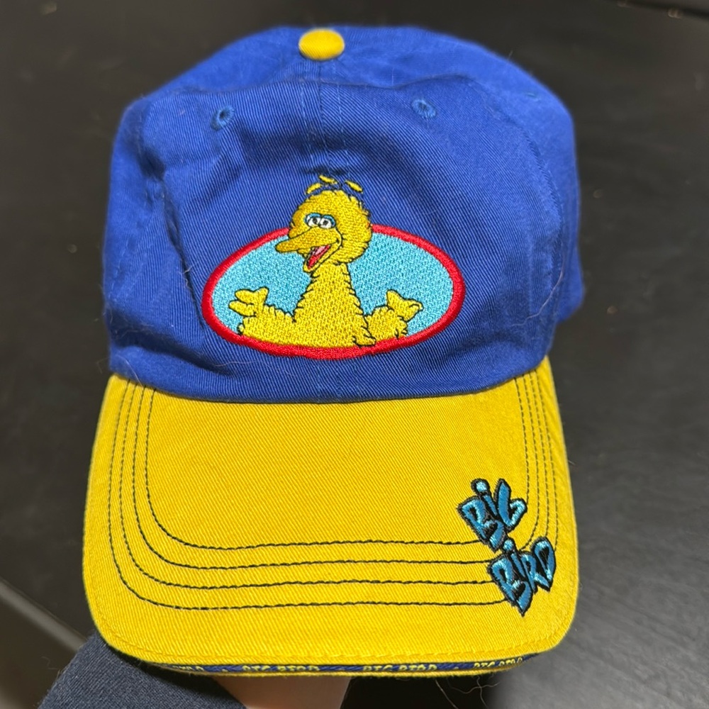Big Bird | Sesame Street | Busch Gardens
Hat